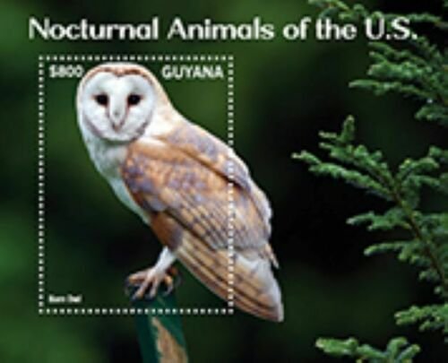 2021/09 - GUYANA - NOCTURNAL ANIMALS  OWLS        1V  complet set    MNH ** TT 