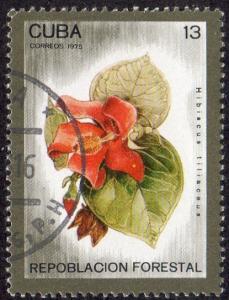 Cuba 1993 - Cto - 13c Hibiscus (1975) (cv $0.30)