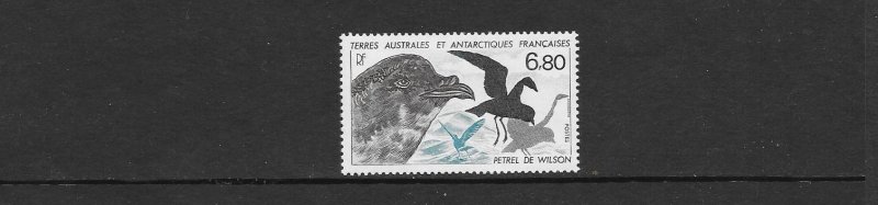 BIRDS - FRENCH SOUTHERN ANTARCTIC TERRITORY-PETREL #139  MNH