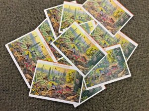 3293 Sonoran Desert, Nature America Series Lot of 10 sheets MNH 33 c FV $33.00