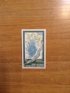 French Southern & Antarctic Territory Sc 255 NH
