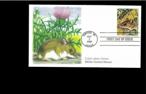 2008 FDC Great Lakes Dunes Empire MI