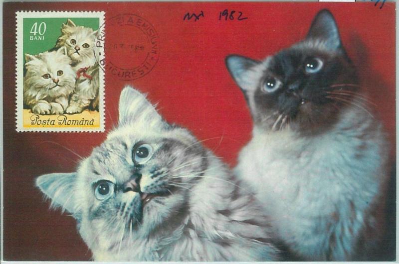 67491  -  ROMANIA  - Postal History -  Maximum CARD 1982 -  CATS cat