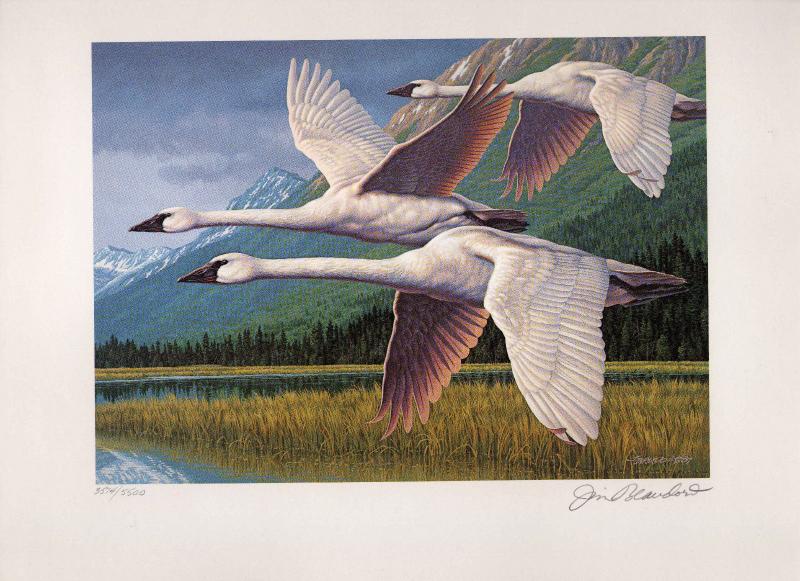 ALASKA #4 1988  STATE DUCK STAMP PRINT MEDALLION   ED  TRUMPERTER SWANS Reg $350