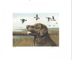 OREGON #8 1991  DUCK STAMP PRINT BLACK CHESAPEAKE RETREIVER by  L. Frisino C.E.