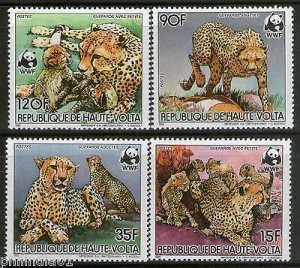 Upper Volta Burkina Faso 1984 Cheetah Wildlife Animal Fauna Sc 654-7 WWF MNH #34