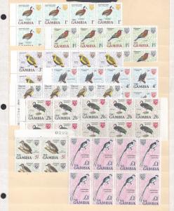 GAMBIA STAMP LOT WITH MULTIPLES