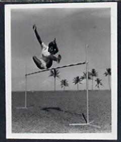 Fiji 1951 High Jump B&W photograph (2 x 2.5 in) as su...