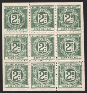 GB Ireland BELFAST & CO DOWN RAILWAY Letter Stamp 2d (1899) *SHEET* Mint SS3181