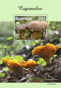 Mozambique 2019 MNH Mushrooms Stamps Imleria Cantharellus Fungi Nature 1v S/S 