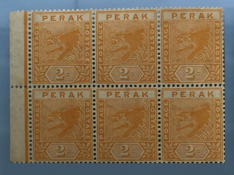 Malaya 1895 Perak Tiger 2c Block of 6V MNH SG#63 M3404 