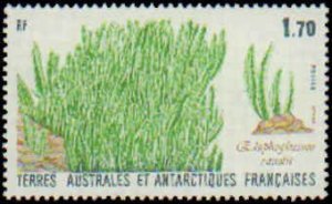 French Southern & Antarctic Territory #133, Complete Set, 1988, Never Hinged