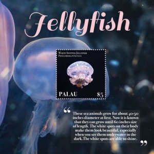 Palau 2019 - Jellyfish - Souvenir stamp sheet - Scott #1445 - MNH
