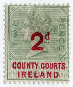 (I.B) QV Revenue : County Courts Ireland 2d (1895) 
