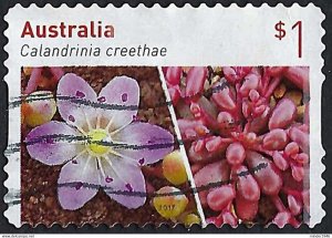 AUSTRALIA 2017 $1 Multicoloured, Australian Succulents-Calandrinia Creethae S...