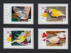 FINCH BIRDS = set of 4 Picture Postage stamps MNH Canada 2015 [p15/12bk4]