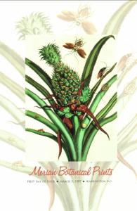 US 3126-3127 Merian Botanial Prints Ceremony Program FDC