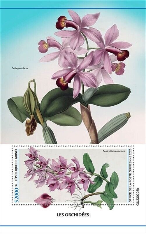 Guinea - 2023 Orchid Flowers on Stamps - Stamp Souvenir Sheet - GU230203b