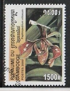 2000 Cambodia - Sc 1987 - used VF -  1 single - Orchids