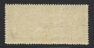 Newfoundland C11 OG Jumbo!!