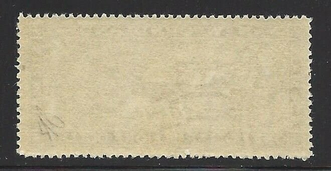 Newfoundland C11 OG Jumbo!!