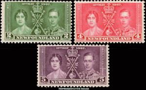 Newfoundland Scott 230 Mint never hinged.