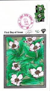 Pugh Designed/Painted Bunchberry Red Texas Cancel FDC.. 23 of Only 25 created!