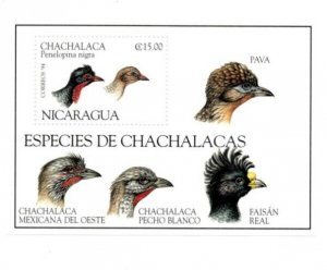 Nicaragua 1995 - Birds - Souvenir Stamp Sheet - Scott #2068 - MNH