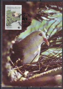 Mauritius, Scott cat. 615 only. W.W.F.- Pigeon Nesting Max. Card.  ^