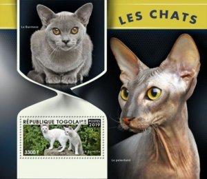 Togo - 2019 Cats on Stamps - Stamp Souvenir Sheet - TG190113b