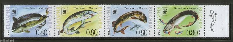 Bulgaria 2004 Fishes WWF Worldwide Fund for Nature Horiz strip of 4 MNH # 6350