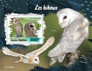 Togo - 2019 Owls on Stamps - Stamp Souvenir Sheet - TG190569b