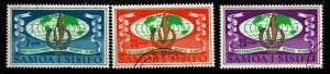 SAMOA SG310/2 1968  HUMAN RIGHTS  USED