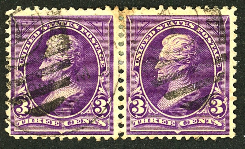 U.S. #221 USED PAIR