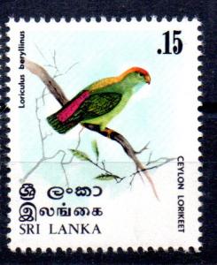 SRI-LANKA - BIRDS - CEYLON LORIKEET - 1979 -  