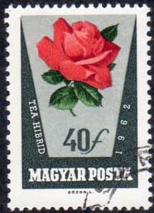 Hungary 1466 - Cto - 40f Hybrid Tea Rose (1962) (2)