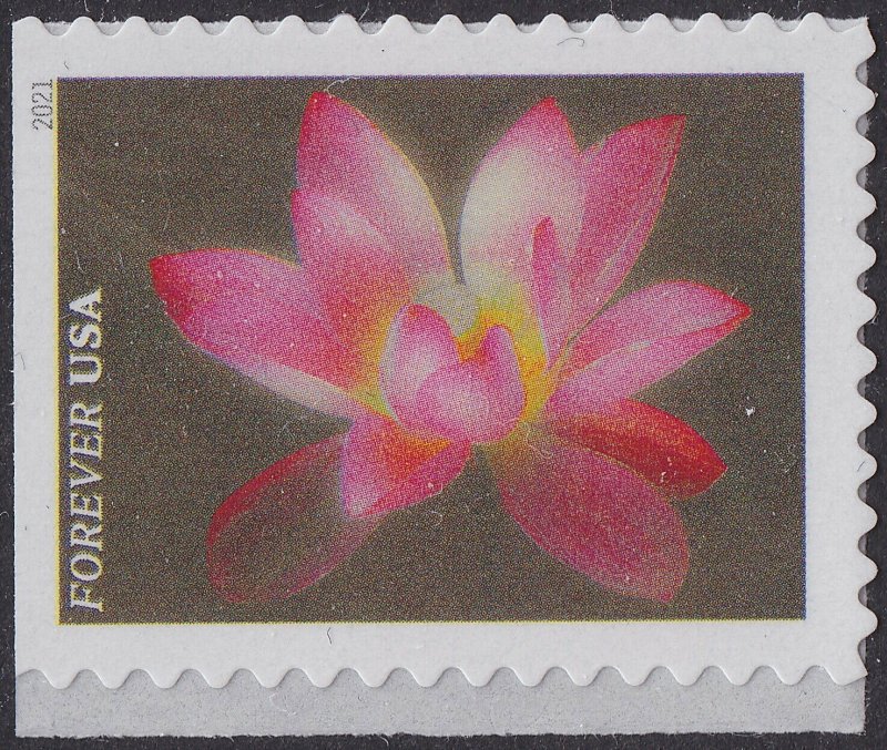 US 5558-5567 Garden Beauty forever set (10 stamps) MNH 2021