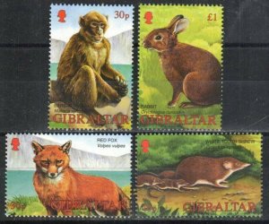 Gibraltar Stamp 909-912  - Wildlife