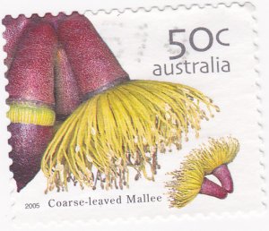 Australia 2005 Wildflowers-Coarse-leaf Malle 50c used