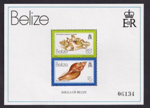 Belize   #488  MNH  1980  shells sheet 85c , $5