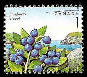 USED BOX WORLD WIDE 150