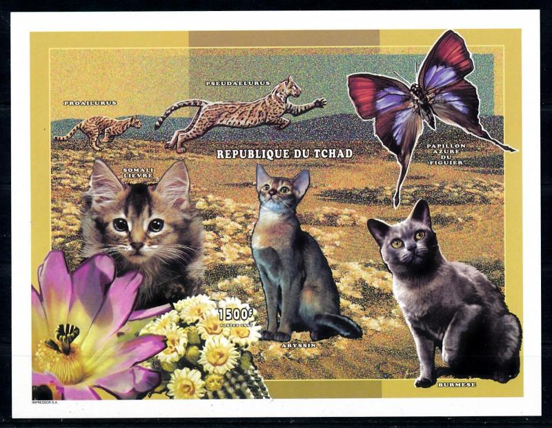 [77215] Tchad Chad 1998 Pets Wild Cats Butterfly Imperf. Souvenir Sheet MNH