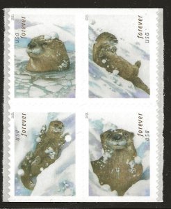 US Scott #5651a, DOUBLE SIDED Block of 4 2021 Otters VF MNH
