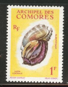 Comoro Islands Scott 49  MH* sea shell stamp