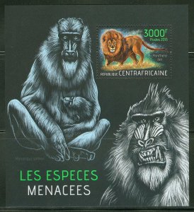 CENTRAL AFRICA  2013 ENDANGERED SPECIES  MONKEY LION  SOUVENIR SHEET