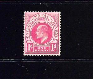 NATAL  1902-03  1d    KEVII   MH  SG 128