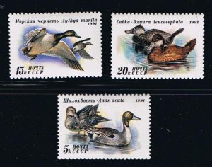 DUCKS = bird = full set of 3 = Russia 1991 Sc 6009-6011 MNH