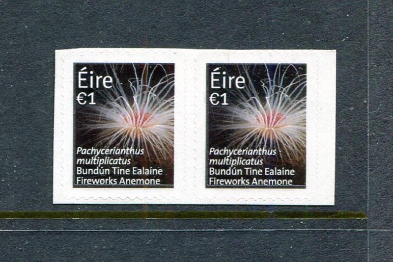 Ireland-New definitive-Anemone MNH Marine Life Fish 2014. x29309