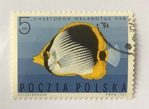 Poland 1967 Scott 1492 CTO - 5g, tropic fish, Chaetodon melanotus, Butterflyfish