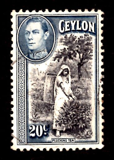 Ceylon/Sri Lanka 1938-52 Picking Tea, King George VI 20c Scott.283 Used (#3)